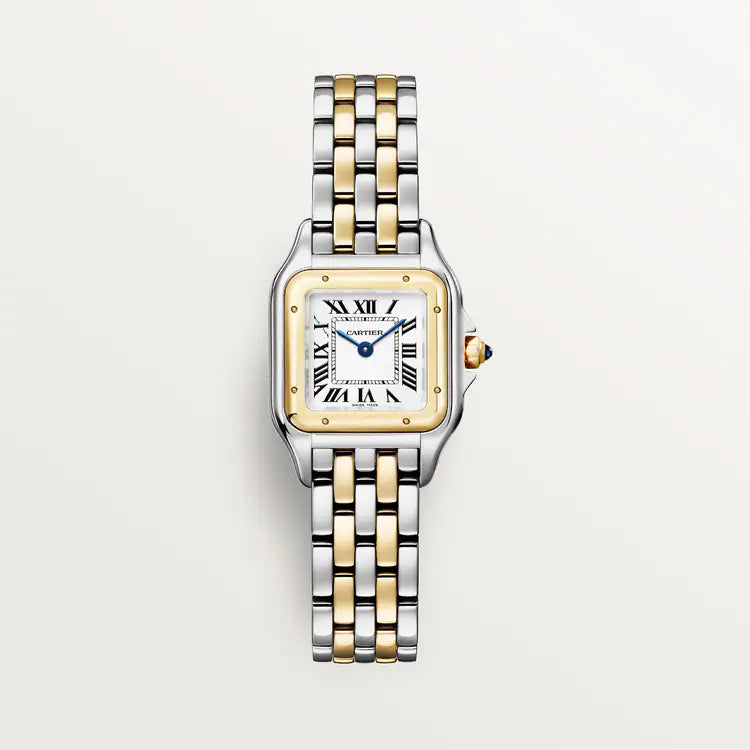 Celestial Dual Tone Watch